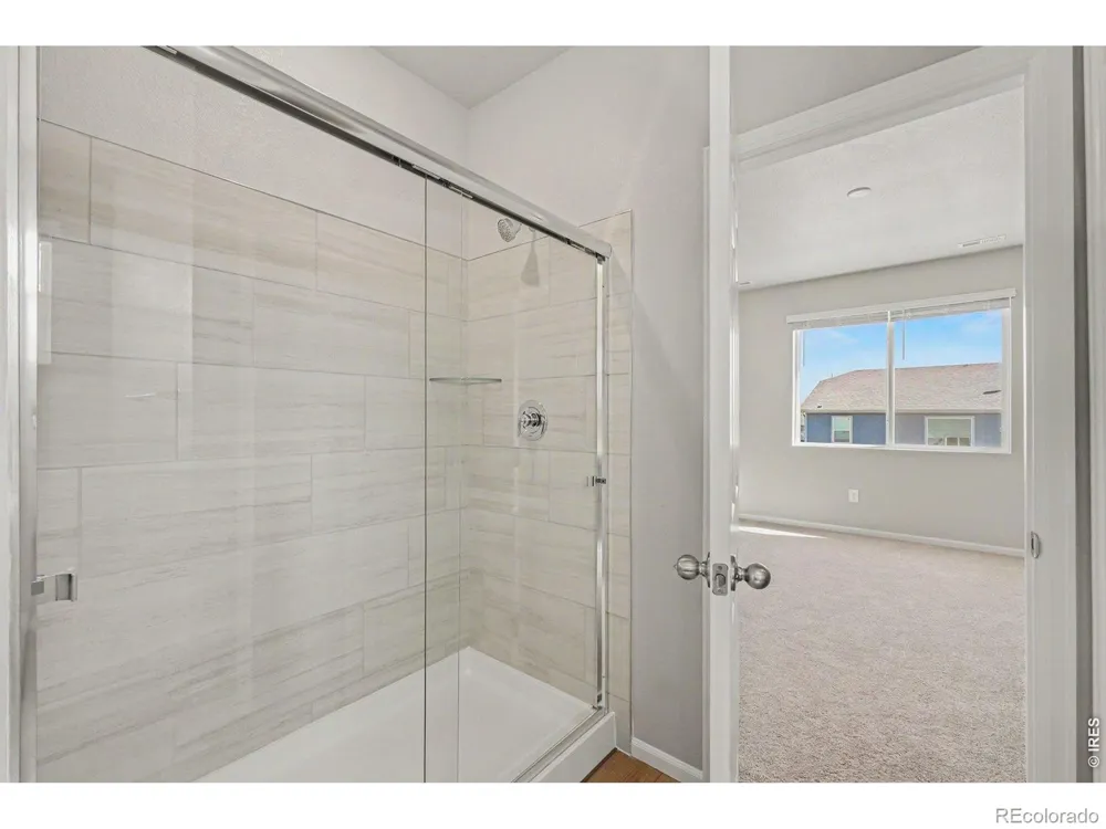 1629 Yampa River Drive Windsor, CO 80550