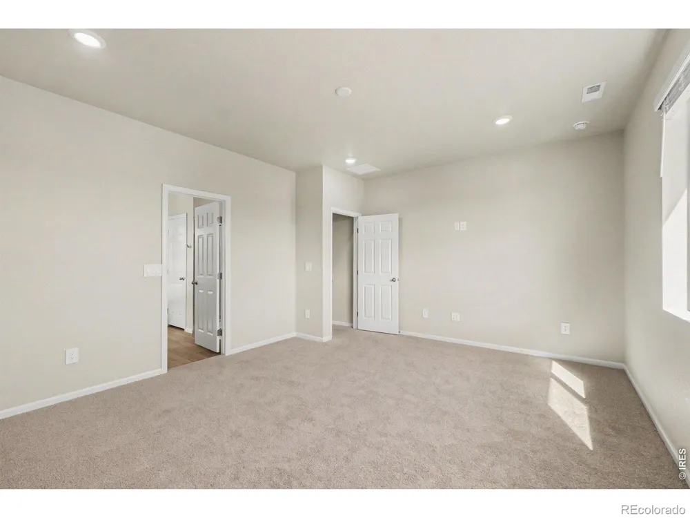 1629 Yampa River Drive Windsor, CO 80550