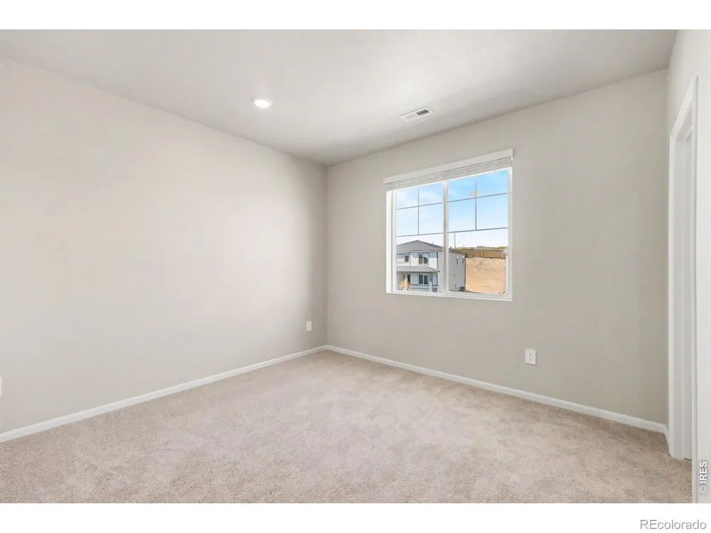 1629 Yampa River Drive Windsor, CO 80550