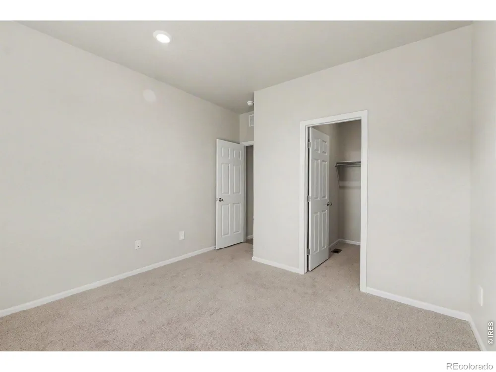 1629 Yampa River Drive Windsor, CO 80550