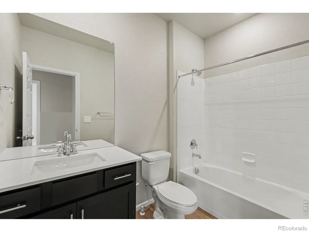 1629 Yampa River Drive Windsor, CO 80550