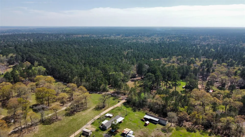 4440 Fm 1486 Montgomery, TX 77316