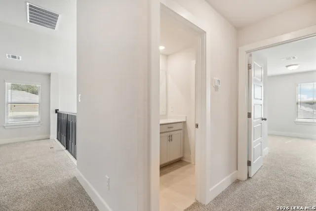 10317 Briceway Gap San Antonio, TX 78254