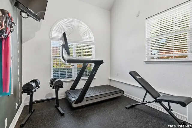 231 Gazelle Leap San Antonio, TX 78258