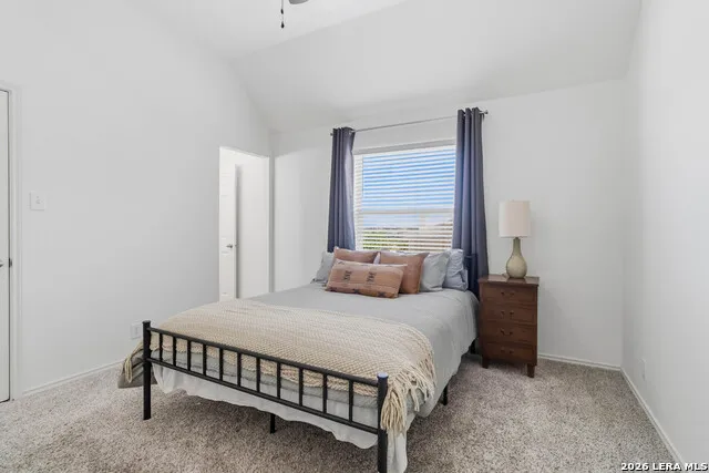231 Gazelle Leap San Antonio, TX 78258