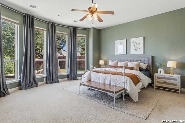 231 Gazelle Leap San Antonio, TX 78258