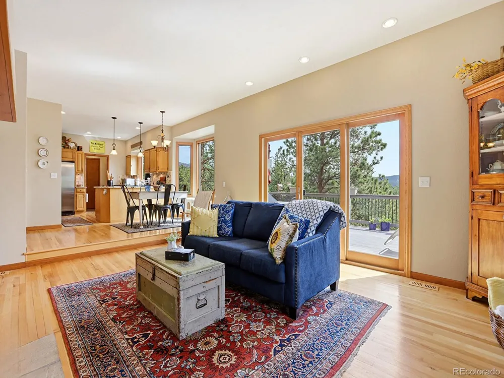 13532 Douglass Ranch Drive Pine, CO 80470