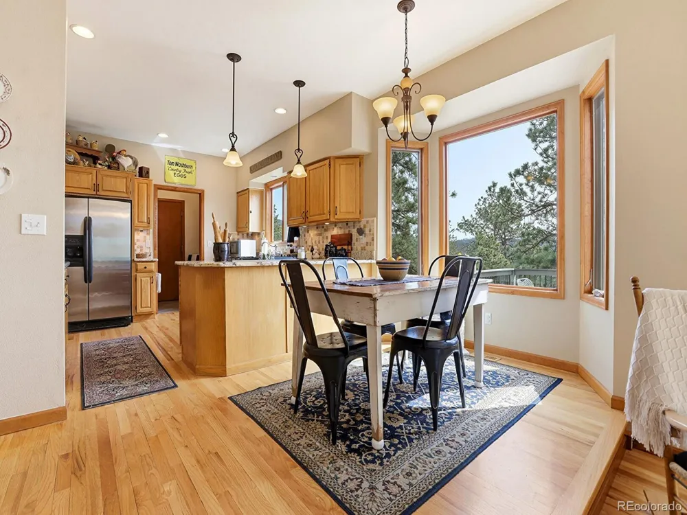 13532 Douglass Ranch Drive Pine, CO 80470
