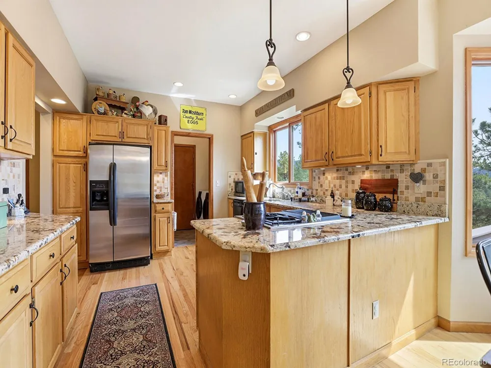 13532 Douglass Ranch Drive Pine, CO 80470