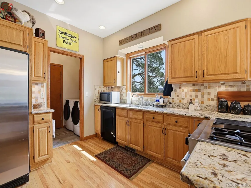 13532 Douglass Ranch Drive Pine, CO 80470