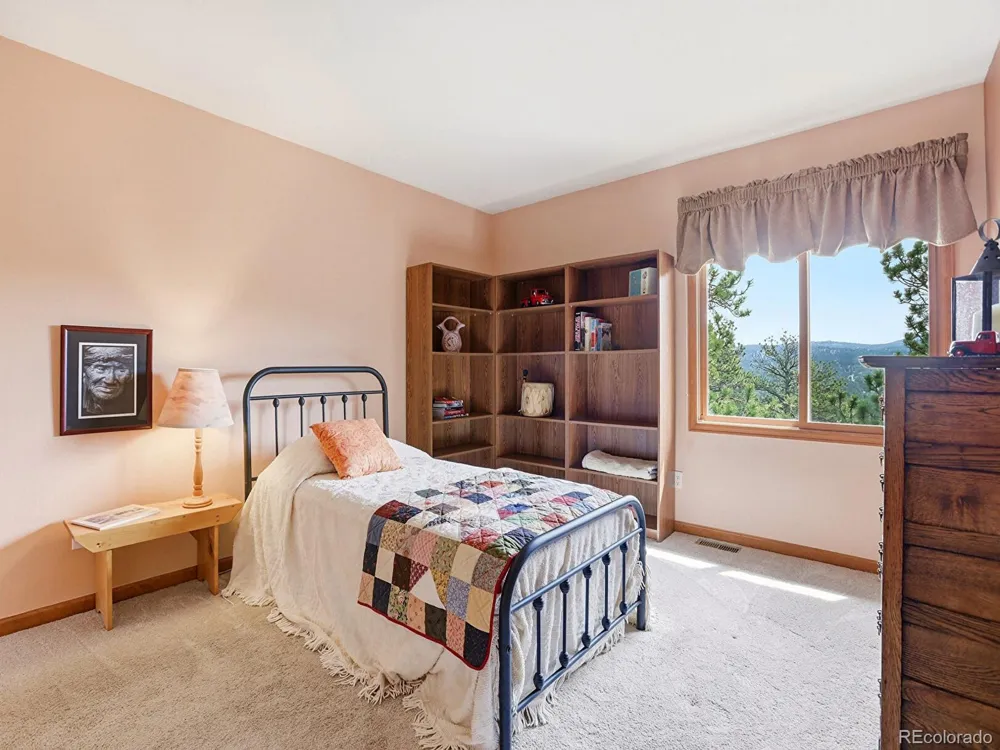 13532 Douglass Ranch Drive Pine, CO 80470