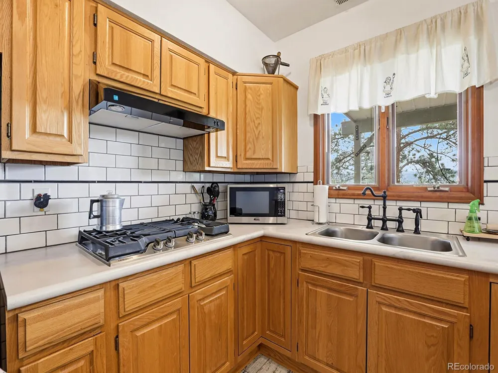 13532 Douglass Ranch Drive Pine, CO 80470