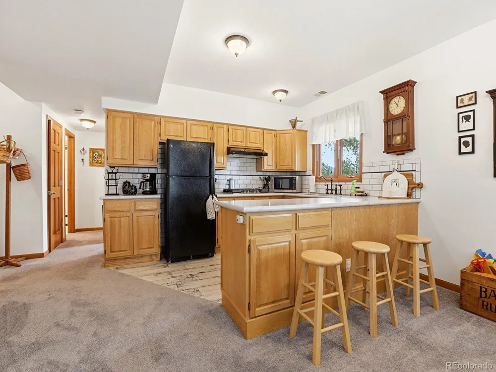 13532 Douglass Ranch Drive Pine, CO 80470