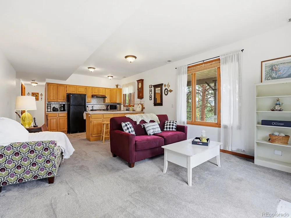 13532 Douglass Ranch Drive Pine, CO 80470
