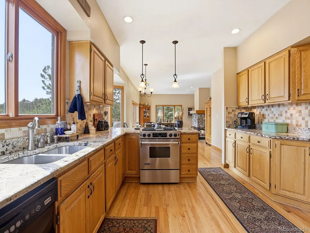 13532 Douglass Ranch Drive Pine, CO 80470