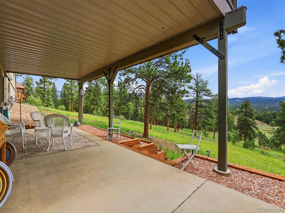 13532 Douglass Ranch Drive Pine, CO 80470