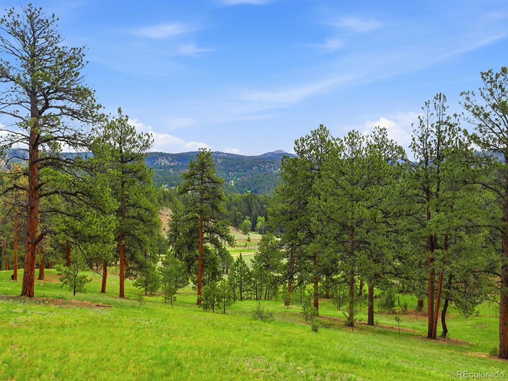 13532 Douglass Ranch Drive Pine, CO 80470