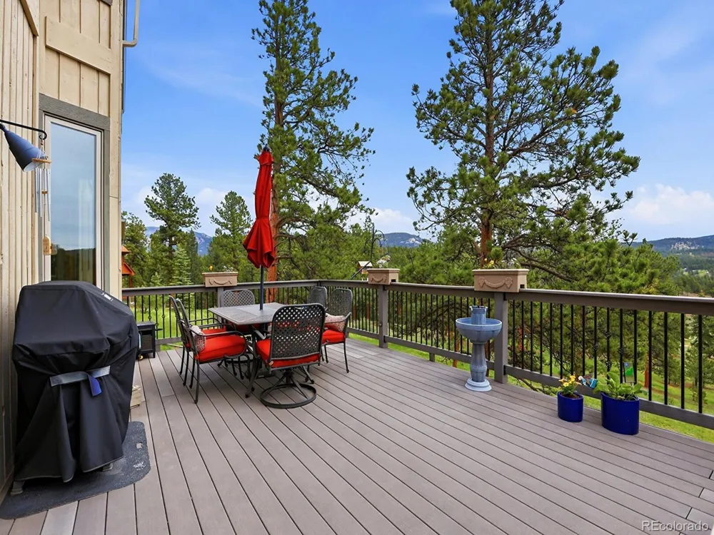 13532 Douglass Ranch Drive Pine, CO 80470