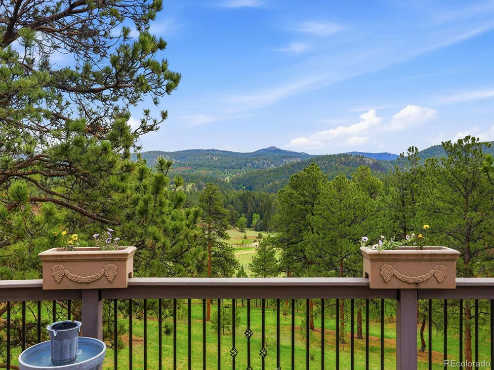 13532 Douglass Ranch Drive Pine, CO 80470