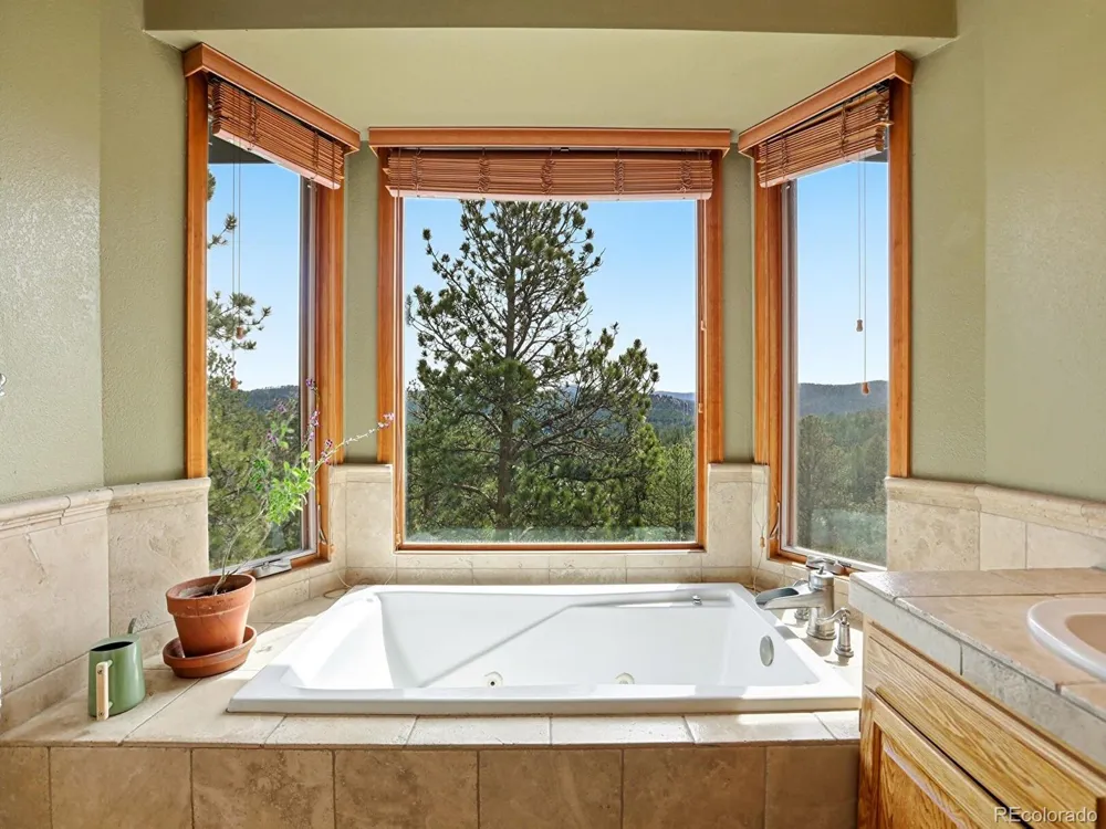 13532 Douglass Ranch Drive Pine, CO 80470