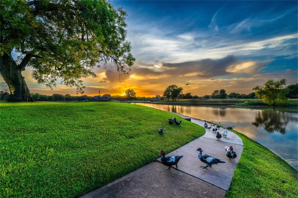 1511 Goodnight Court Sugar Land, TX 77479