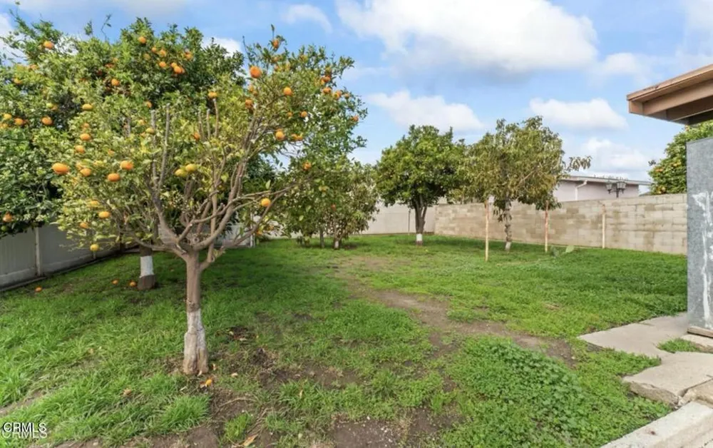 269 Sheppard Road #1 Santa Paula, CA 93060