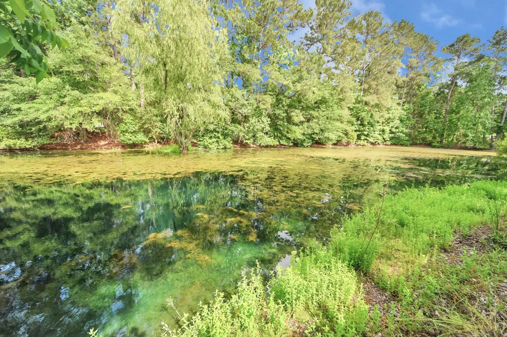 585 County Road 3796 Cleveland, TX 77328