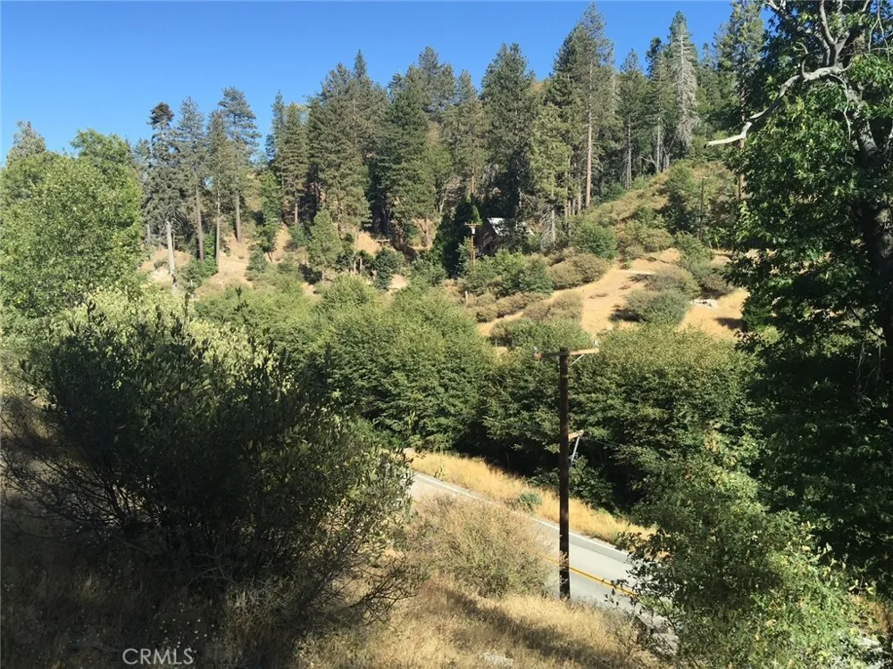 29776 Hook Creek Cedar Glen, CA 92321
