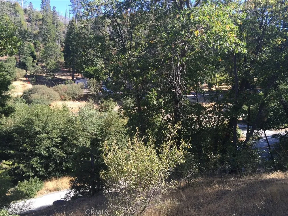 29776 Hook Creek Cedar Glen, CA 92321
