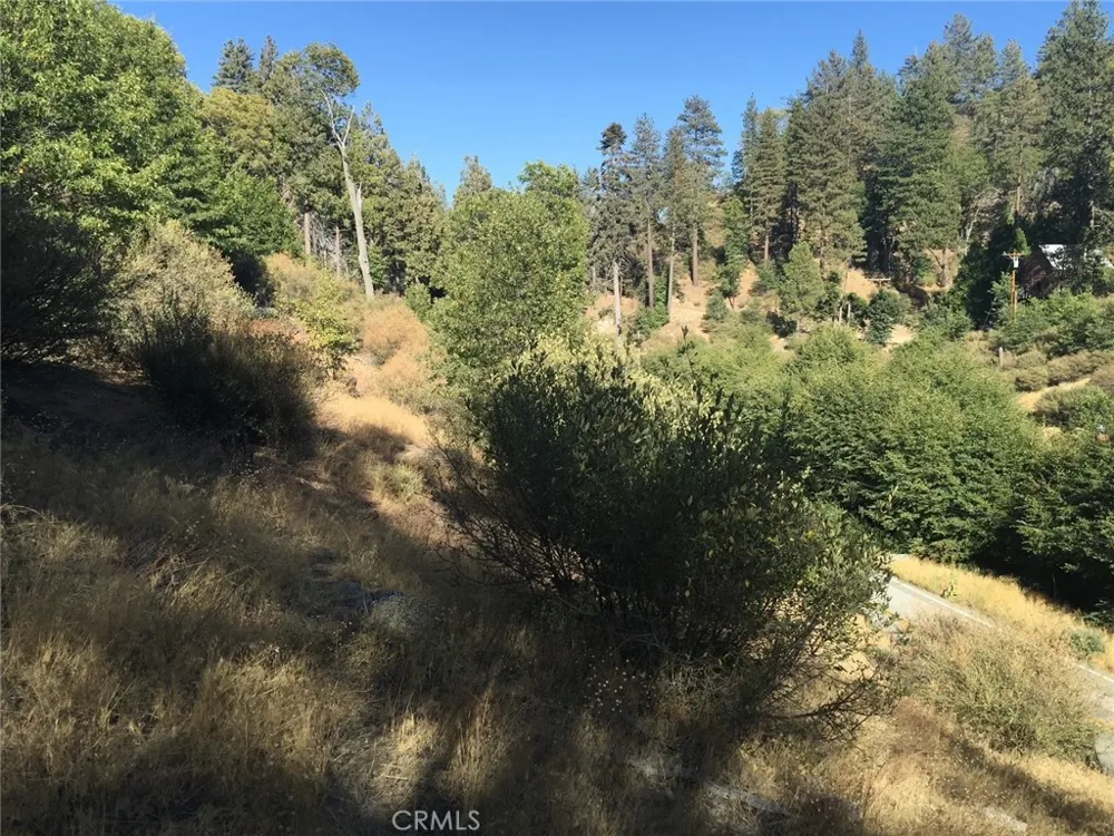 29776 Hook Creek Cedar Glen, CA 92321