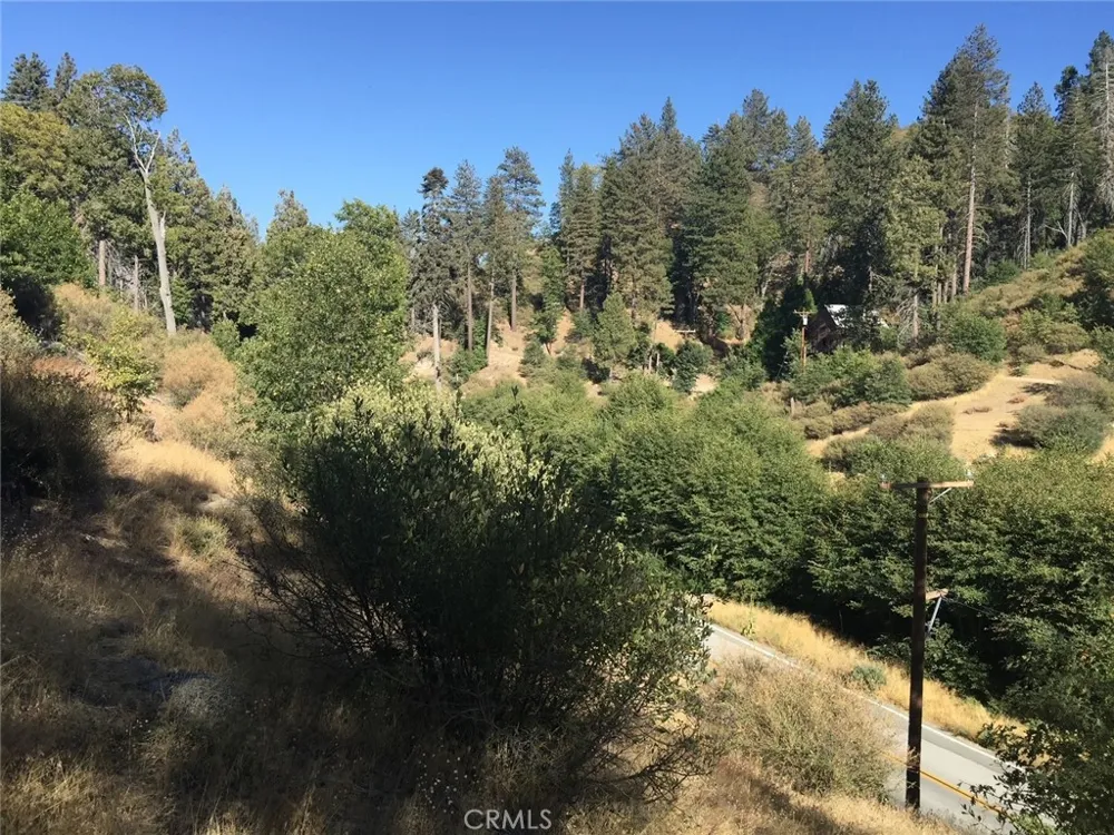 29776 Hook Creek Cedar Glen, CA 92321