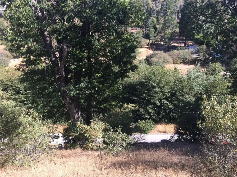 29776 Hook Creek Cedar Glen, CA 92321
