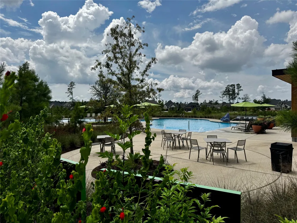 15991 Mahogany Mist Drive Conroe, TX 77302