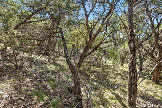 COMANCHE TRL Comanche Path Bandera, TX 78003