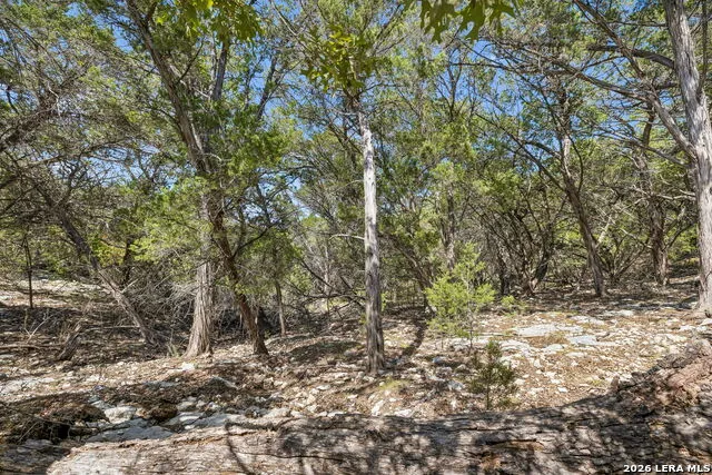 COMANCHE TRL Comanche Path Bandera, TX 78003