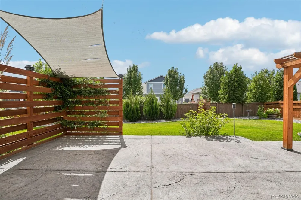 291 Saskatoon Drive Windsor, CO 80550