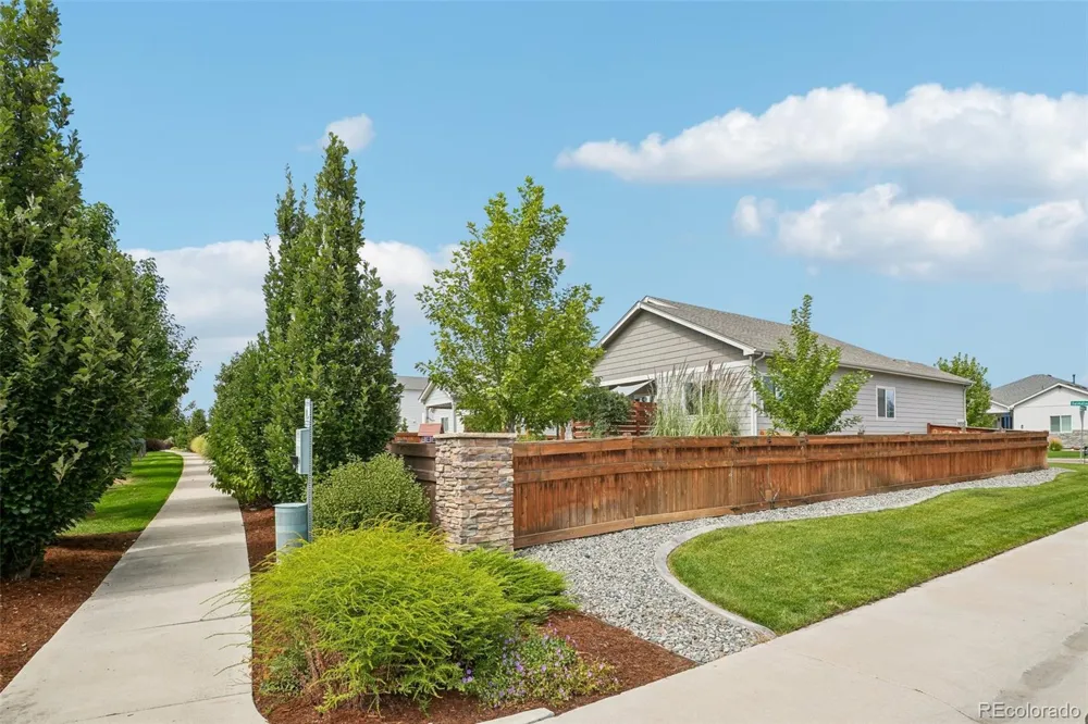 291 Saskatoon Drive Windsor, CO 80550