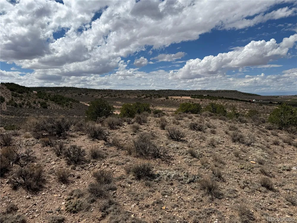 3759 Paine Road Fort Garland, CO 81133