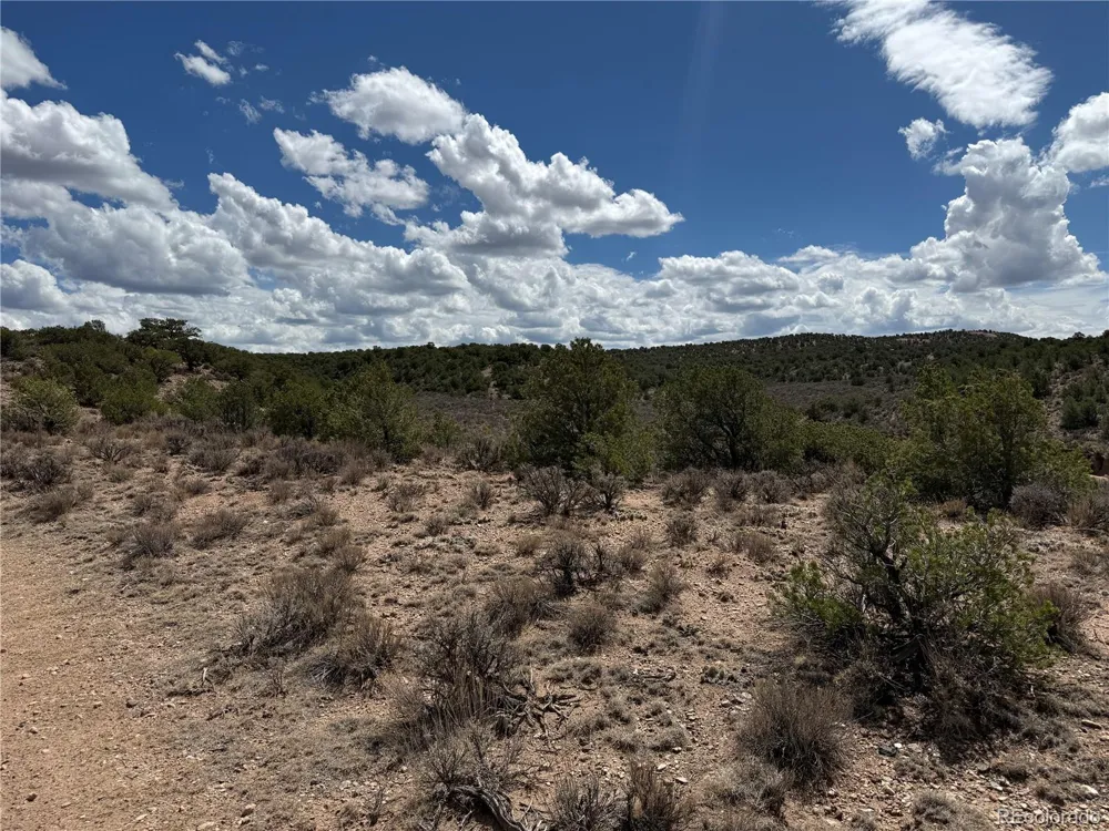 3759 Paine Road Fort Garland, CO 81133