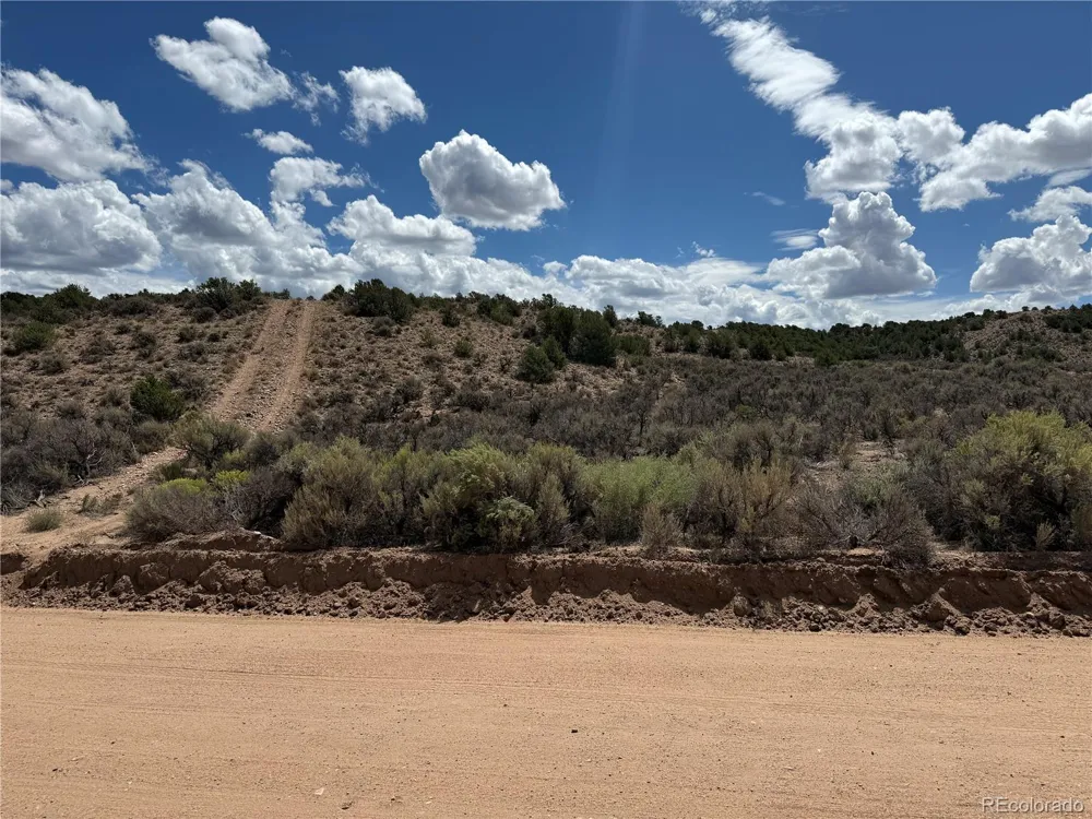 3759 Paine Road Fort Garland, CO 81133