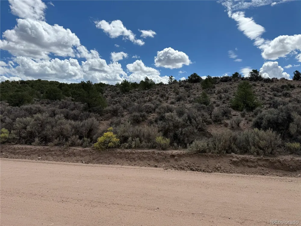 3759 Paine Road Fort Garland, CO 81133