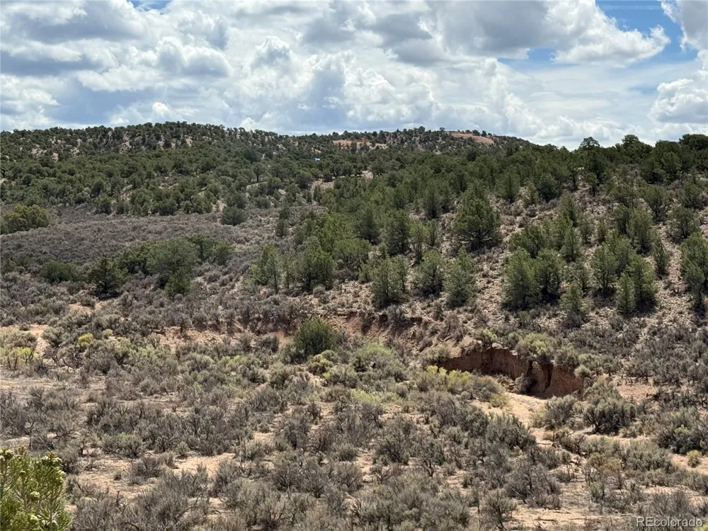 3759 Paine Road Fort Garland, CO 81133