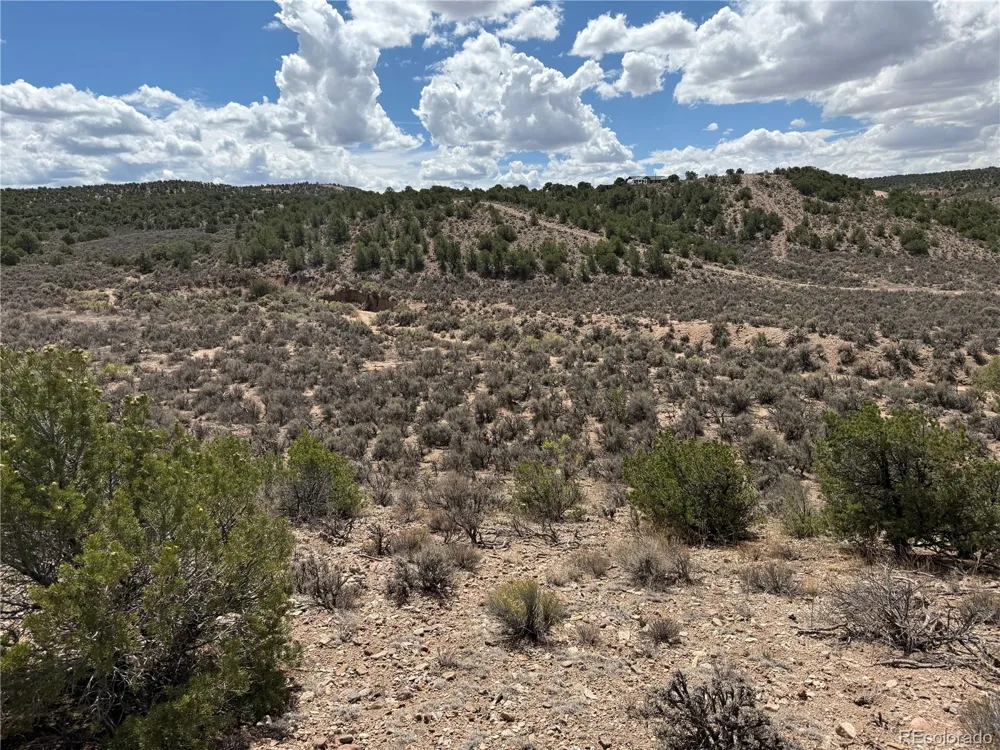 3759 Paine Road Fort Garland, CO 81133