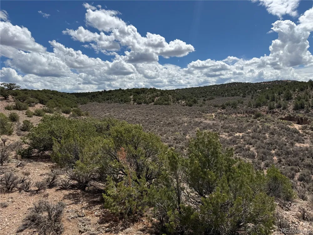 3759 Paine Road Fort Garland, CO 81133