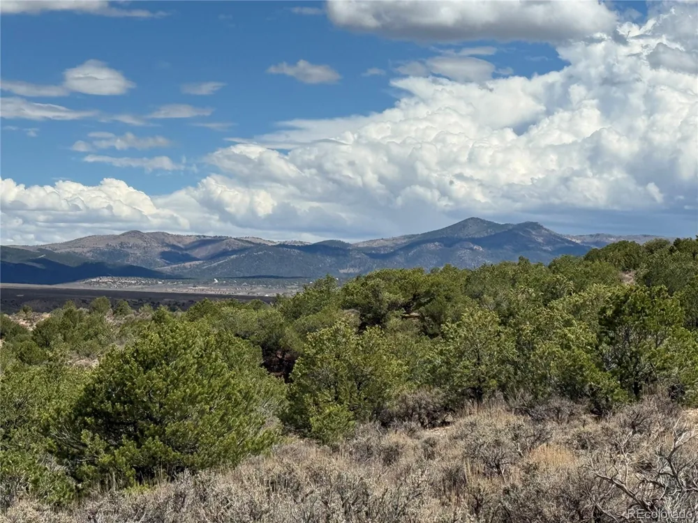 3759 Paine Road Fort Garland, CO 81133