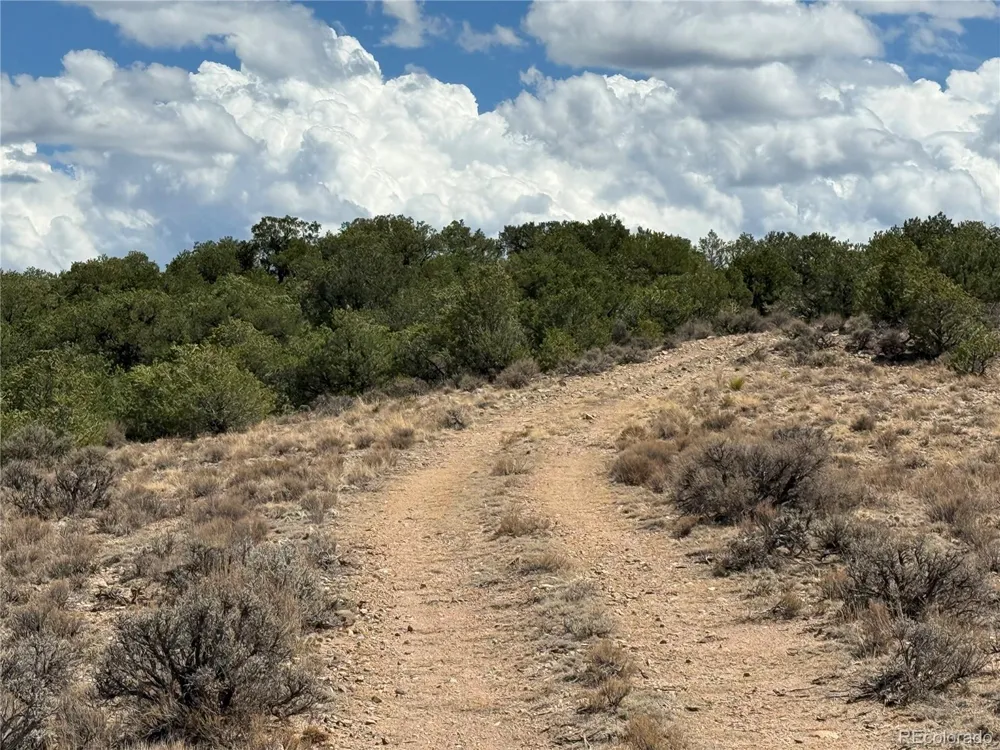 3759 Paine Road Fort Garland, CO 81133