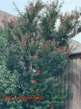2209 Madison Carrollton, TX 75010