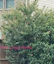 2209 Madison Carrollton, TX 75010