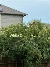 2209 Madison Carrollton, TX 75010