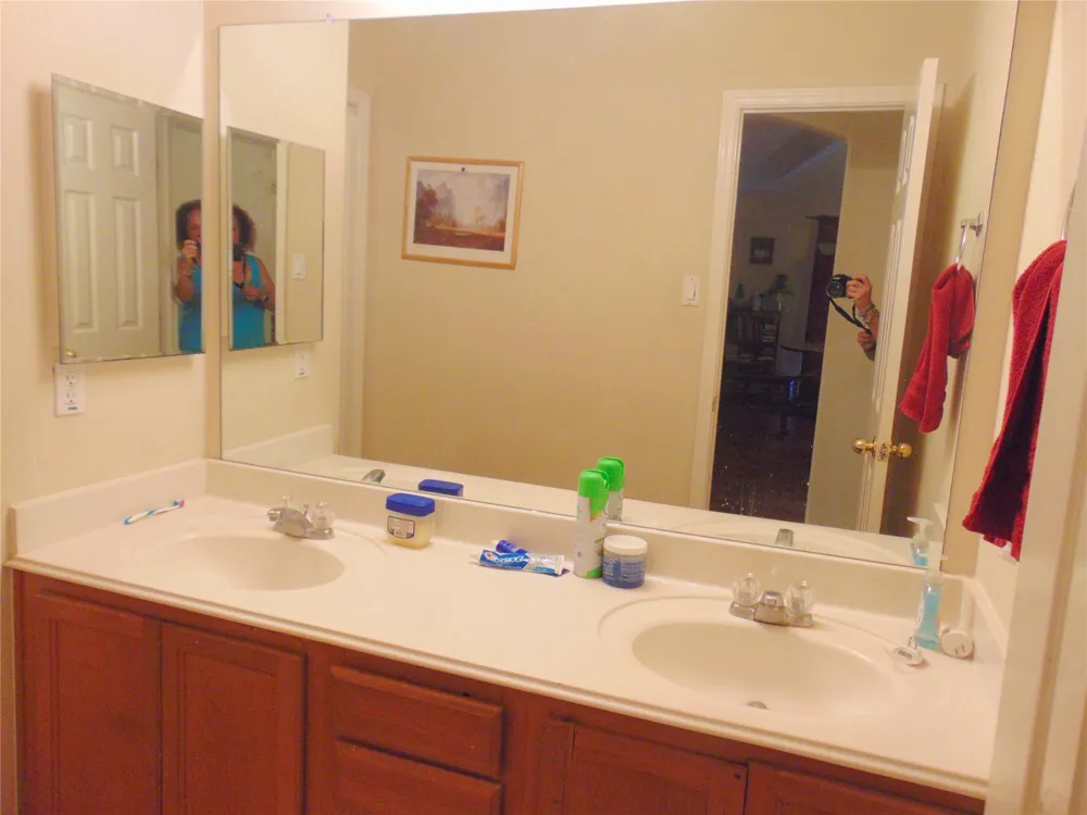 1319 Magnolia Dale Drive Fresno, TX 77545